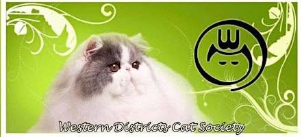 Imagem principal do evento CAT SHOW: Western Districts Cat Club 29th June