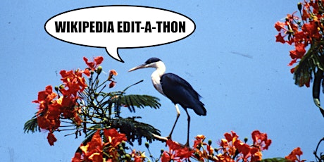 NT environment  Wikipedia edit-a-thon primary image