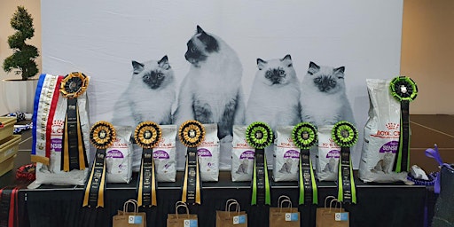 Imagem principal de CAT SHOW: Cats NSW spectacular Cat Show is prowling into Richmond 15th Sept