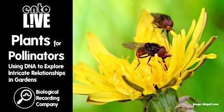 Plants for Pollinators: Using DNA to Explore Relationships in Gardens