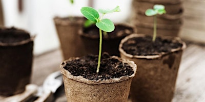 Hauptbild für 6 apr - Samen zaaien bij Moestuin Het Buitenhof | 5+