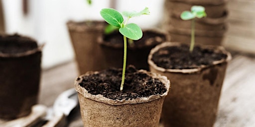 Immagine principale di 6 apr - Samen zaaien bij Moestuin Het Buitenhof | 5+ 