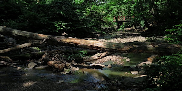 NYC Wild! Now Get Out: Staten Island: Cloves Lakes Park Photography and Nature Walk