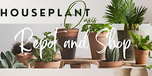 Hauptbild für Repot and Shop: Houseplant Oasis 101 Class 3
