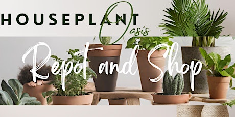 Repot and Shop: Houseplant Oasis 101 Class 3