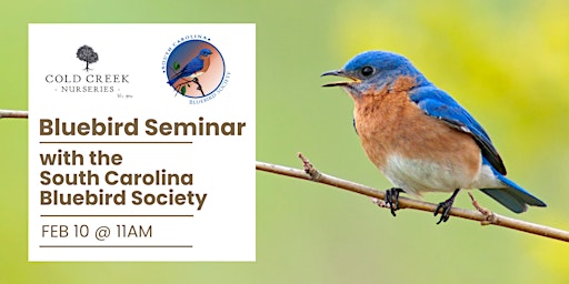 Imagem principal de Bluebird Seminar with the South Carolina Bluebird Society