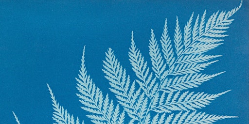 Primaire afbeelding van Cyanotype workshop