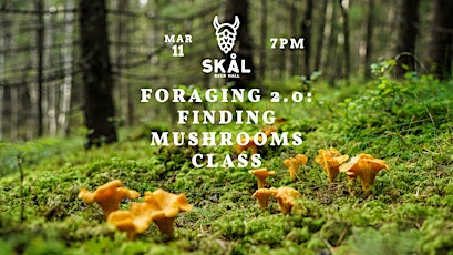 Foraging 2.0: Finding Mushrooms Class primary image