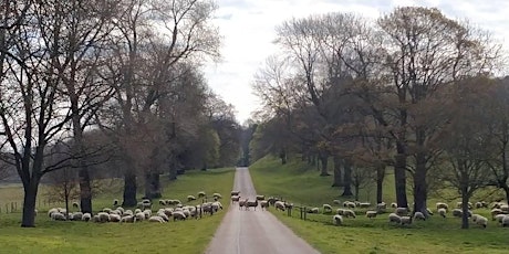 Imagem principal do evento Virtual Tour - Hertfordshire - Countryside on London's Border