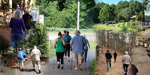 Afoot Stride (basic Nordic walking) primary image