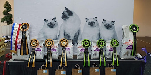 CAT SHOW: Cats NSW is PURRing into North Richmond primary image