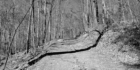 Hauptbild für Photography Hike: Trees, Tracks, and Natural Frames