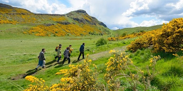 Arthur's Adventures - Guided Walk at Holyrood Park (Grade: Strenuous)