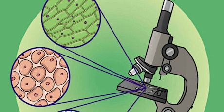 GCSE, IGCSE and O-Levels Biology Revision Course