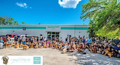 Spring 2024 Low Country Golden Retriever Meet-Up