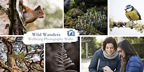 Wild Wanders - Wellbeing Photography Walk - Kinnoull Hill  - 90 min