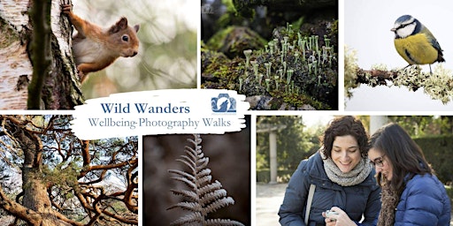 Primaire afbeelding van Wild Wanders - Wellbeing Photography Walk - 2hrs