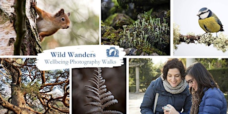 Wild Wanders - Wellbeing Photography Walk - Kinnoull Hill