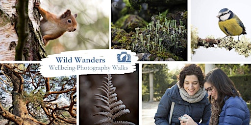 Imagem principal do evento Wild Wanders - Wellbeing Photography Walk