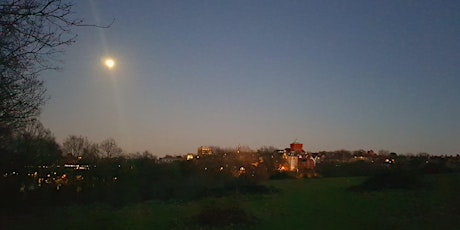 Full Moon Reflection Walk - Hilly Fields Nature Reserve