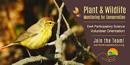 Imagem principal do evento Introduction to Plant & Wildlife Monitoring for Conservation