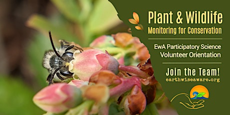 Primaire afbeelding van Introduction to Plant & Wildlife Monitoring for Conservation