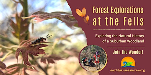 Imagem principal do evento Spring Forest Explorations