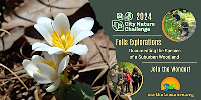 Primaire afbeelding van Fells' Forest Explorations–CNC 2024 Edition