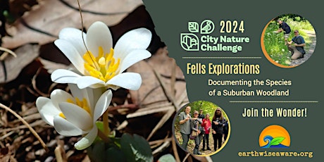 Fells' Forest Explorations–CNC 2024 Edition