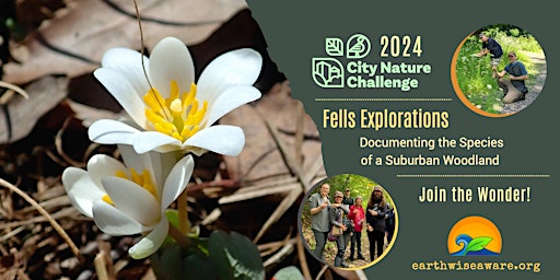 Imagem principal do evento Fells' Forest Explorations–CNC 2024 Edition
