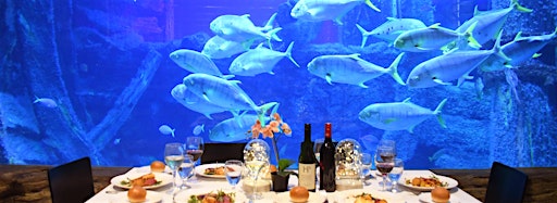 Imagen de colección para  Private Dining at Sea Life Melbourne