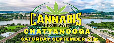 Image principale de 2024 Cannabis Music Festival