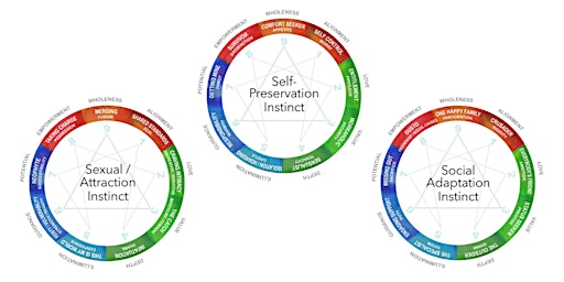 Imagem principal do evento The Three Instincts (Subtypes)  Workshop