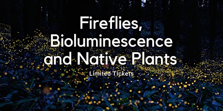 Fireflies, Bioluminescence and Native Plants June 29th