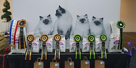 CAT SHOW:  The Cool Country Cat Club presents 'Autumn Daze' on Sat 9 March primary image