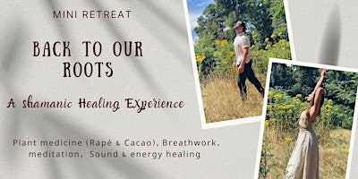 Mini retreat with Plant Medicine, Breathwork, meditation and Healing Energy primary image