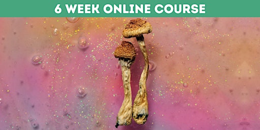 The Science of Psychedelics | 6 Week Course [Online] primary image