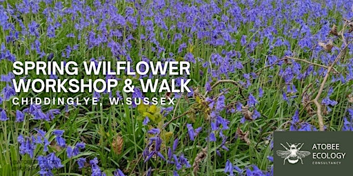 Spring Wildflower Workshop & Walk primary image