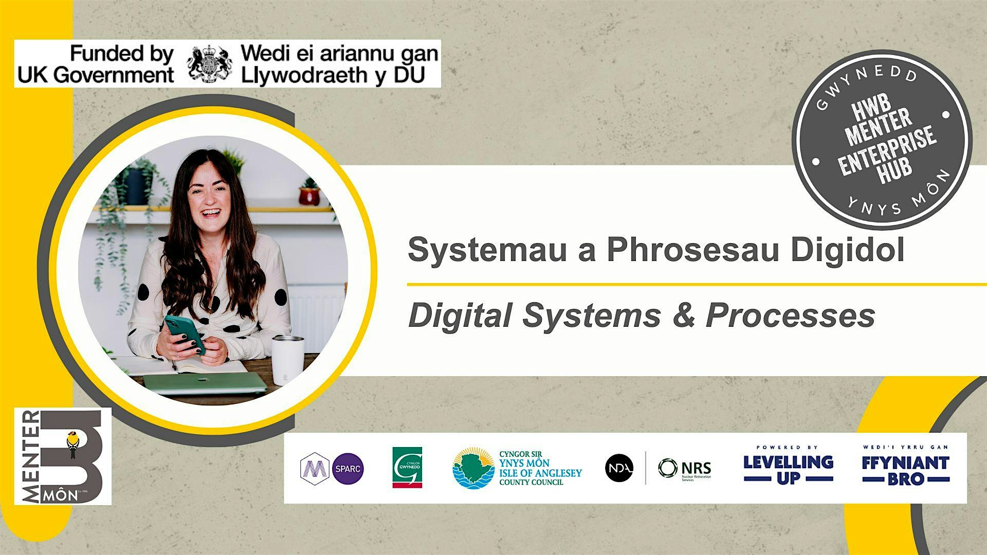 ONLINE - Systemau a Phrosesau Digidol // Digital Systems & Processes