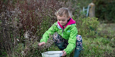 Image principale de Easter Wildlife Day Camp - Windsor Great Park, Monday 8 April