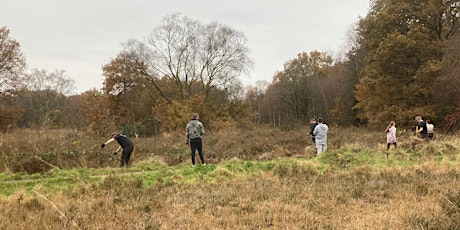 Primaire afbeelding van Battling the Birch