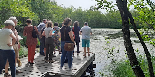 Primaire afbeelding van Balade nature au crépuscule