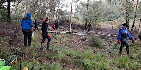 Primaire afbeelding van Battling the Birch Three