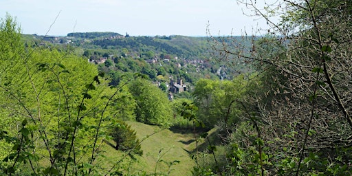 Primaire afbeelding van Walk 11 Viewpoints of the Gorge  11 miles