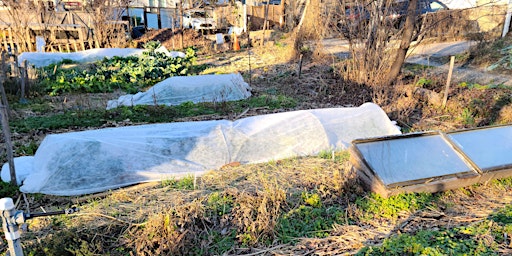 Image principale de July Collective Garden Volunteer Day