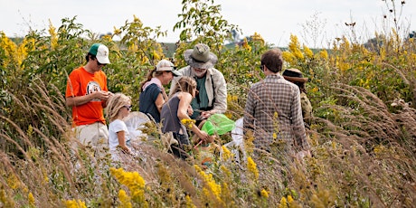 Monarch Tagging at Goose Pond Sanctuary 2019 primary image