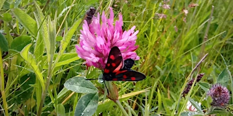 Morning Wellbeing Session at Walkmill Community Woodland