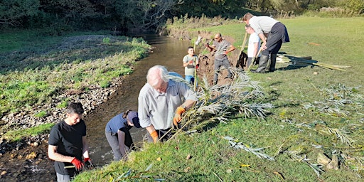 Imagen principal de Willow spiling at Macclesfield Riverside Park