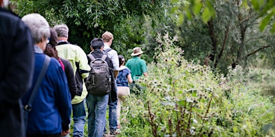 Hauptbild für Monthly Meander - Orchids and Other Wildflowers