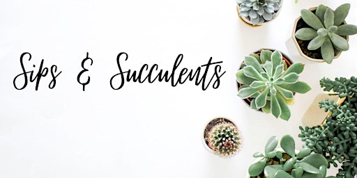 Hauptbild für Sips & Succulents Evening